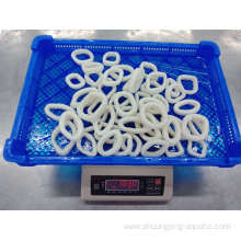 Top Quality Frozen Pacific Squid Rings For Sale